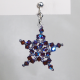 Star - Earrings Phoenix - 1